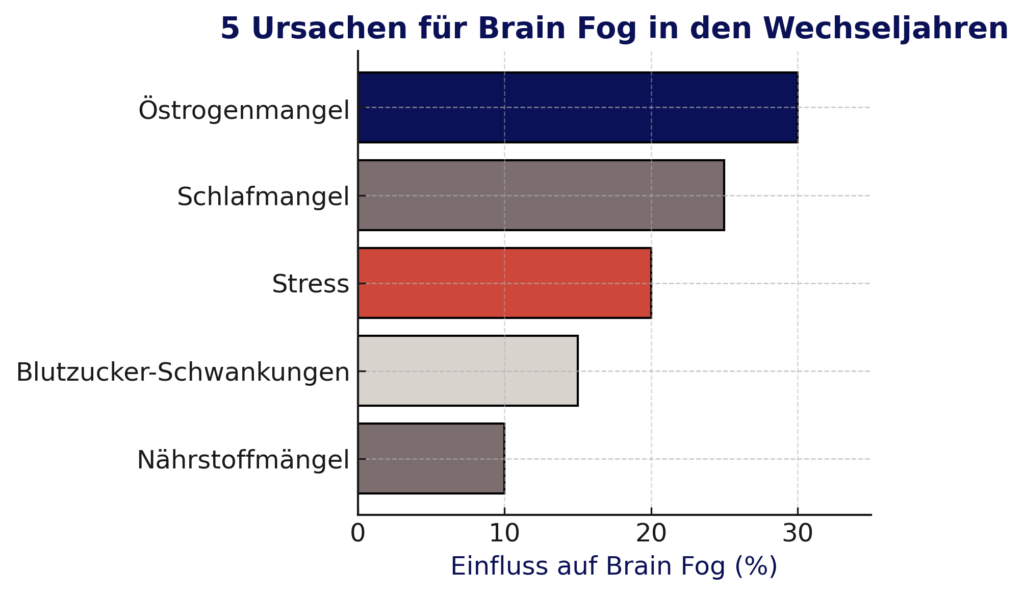 Brain Fog Ursachen als Grafik