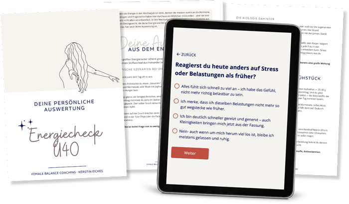 Mockup Energiecheck8